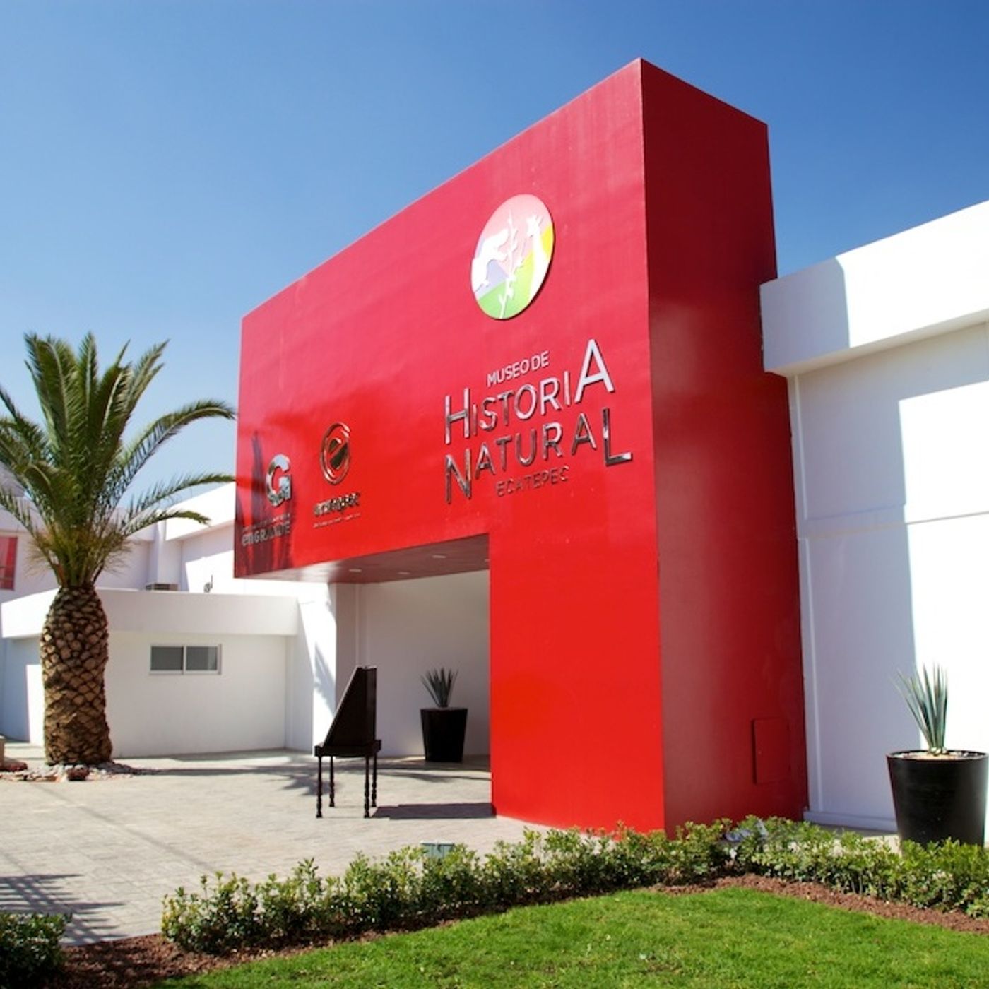 El show de Alexander WolfMova