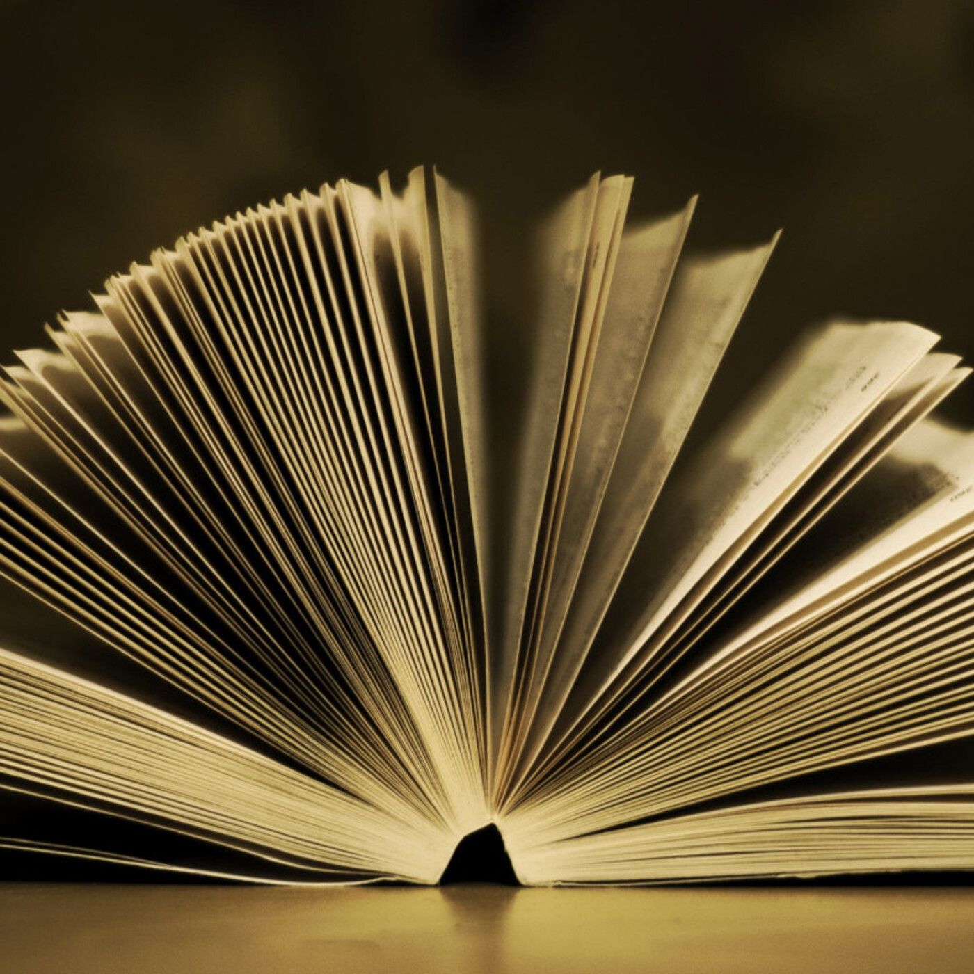 Las lecturas del abu