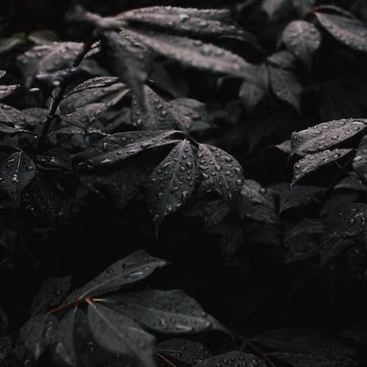 What Sins Disqualify a Pastor for Life?