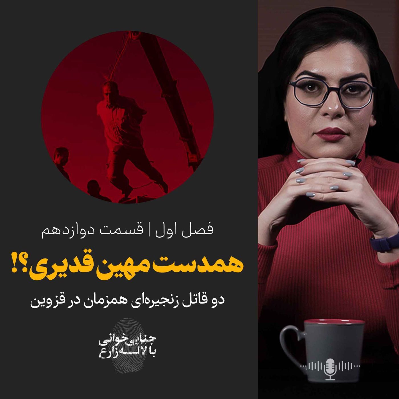 قسمت ۱۲ | همدست مهین قدیری؟