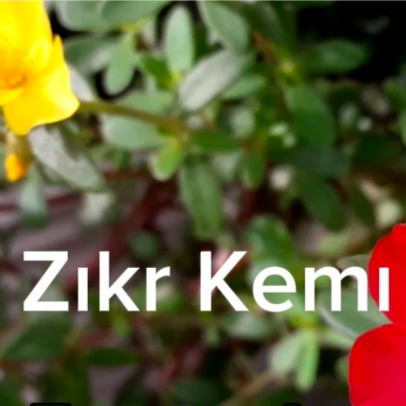 Zıkr Kemı Ma Allahy Zazaca İlahi