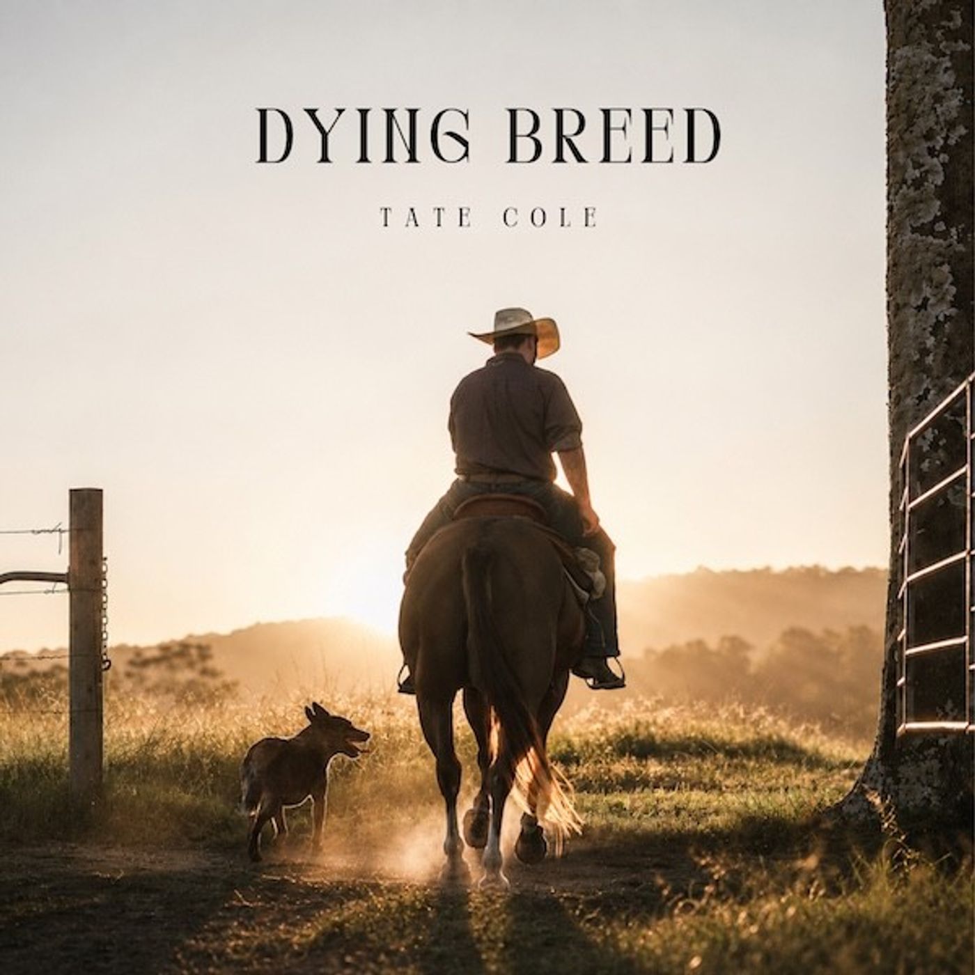 Tate Cole chats about his new song - Dying Breed episode artwork