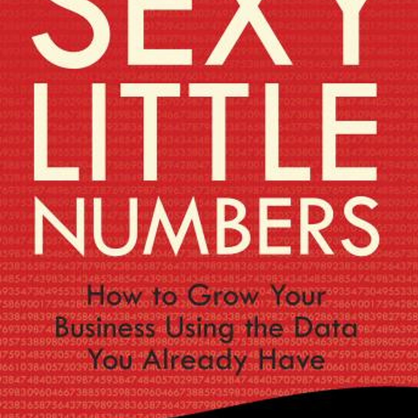 Sexy Little Numbers: How to Grow Your Business Using the Data You Already Have by Paul B. Brown, Dimitri Maex episode artwork