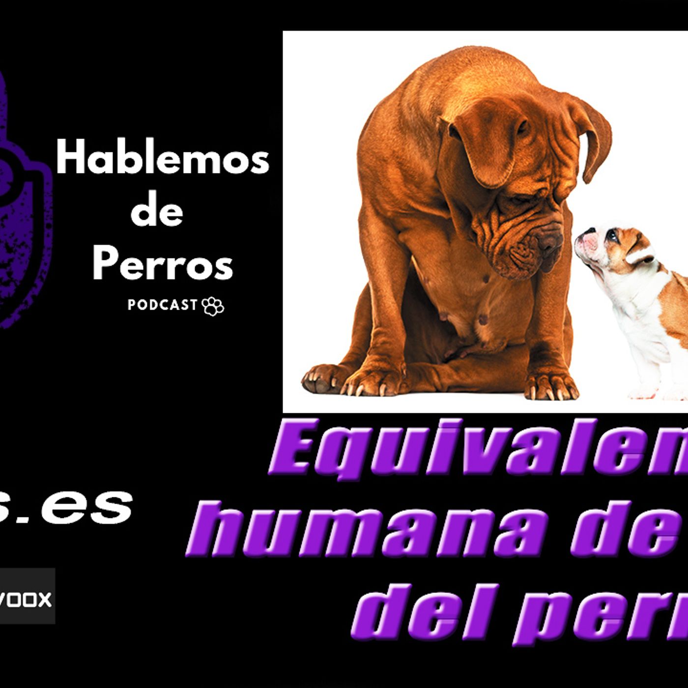 Hablemos de perros