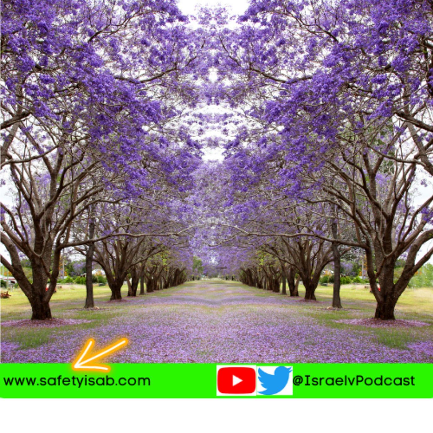 Ayuda al Medio Ambiente y Absorbe 10 Ton de Co2 con poco presupuesto episode artwork