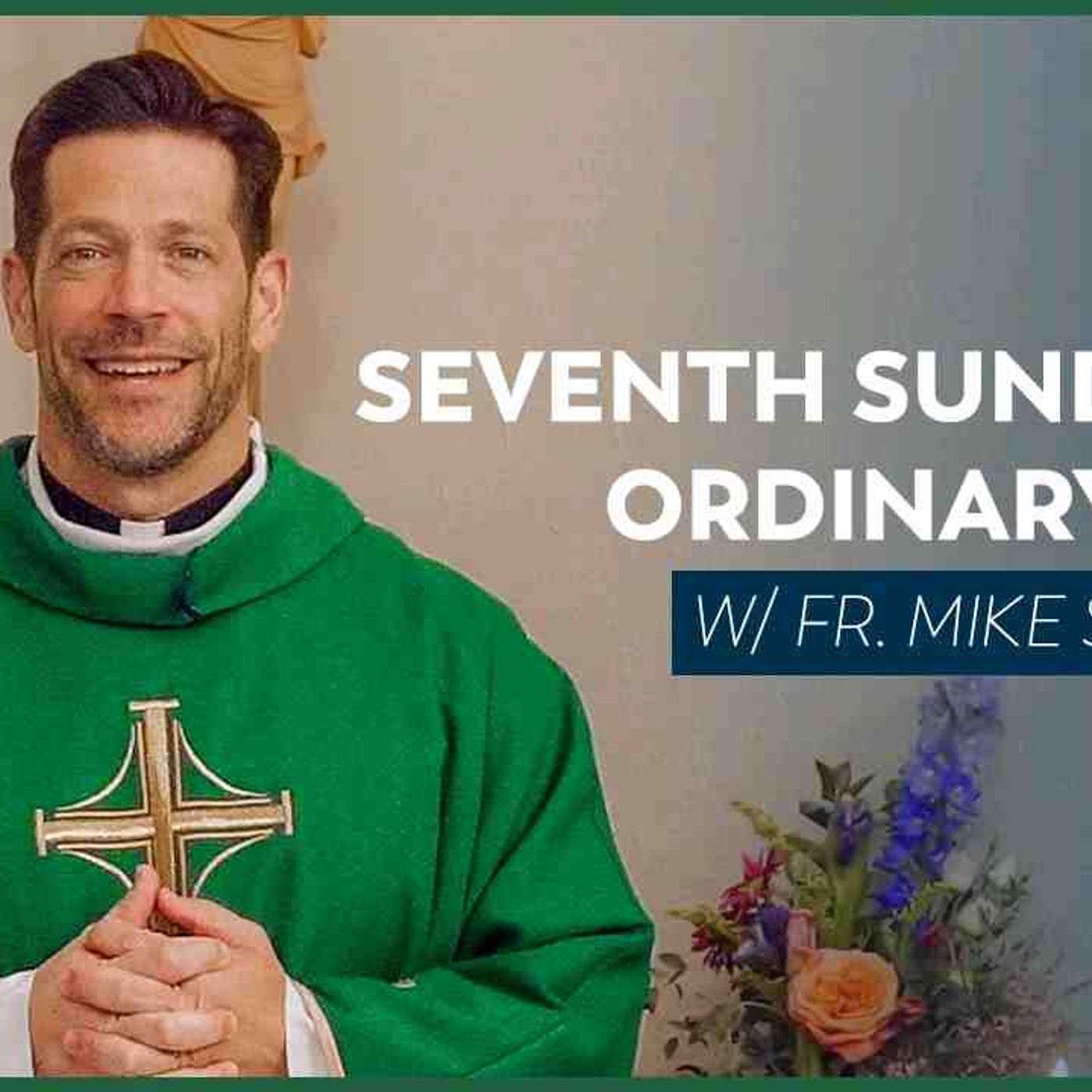 Seventh Sunday in Ordinary Time - Mass with Fr. Mike Schmitz(MP3_160K)