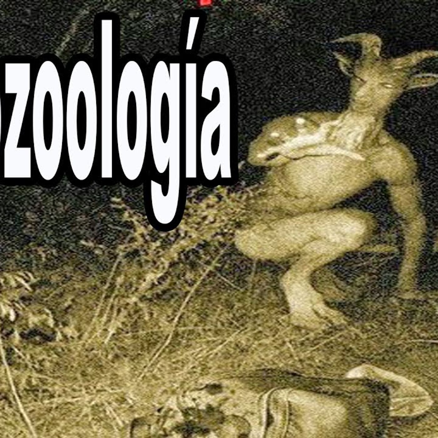 CriptoZoologia