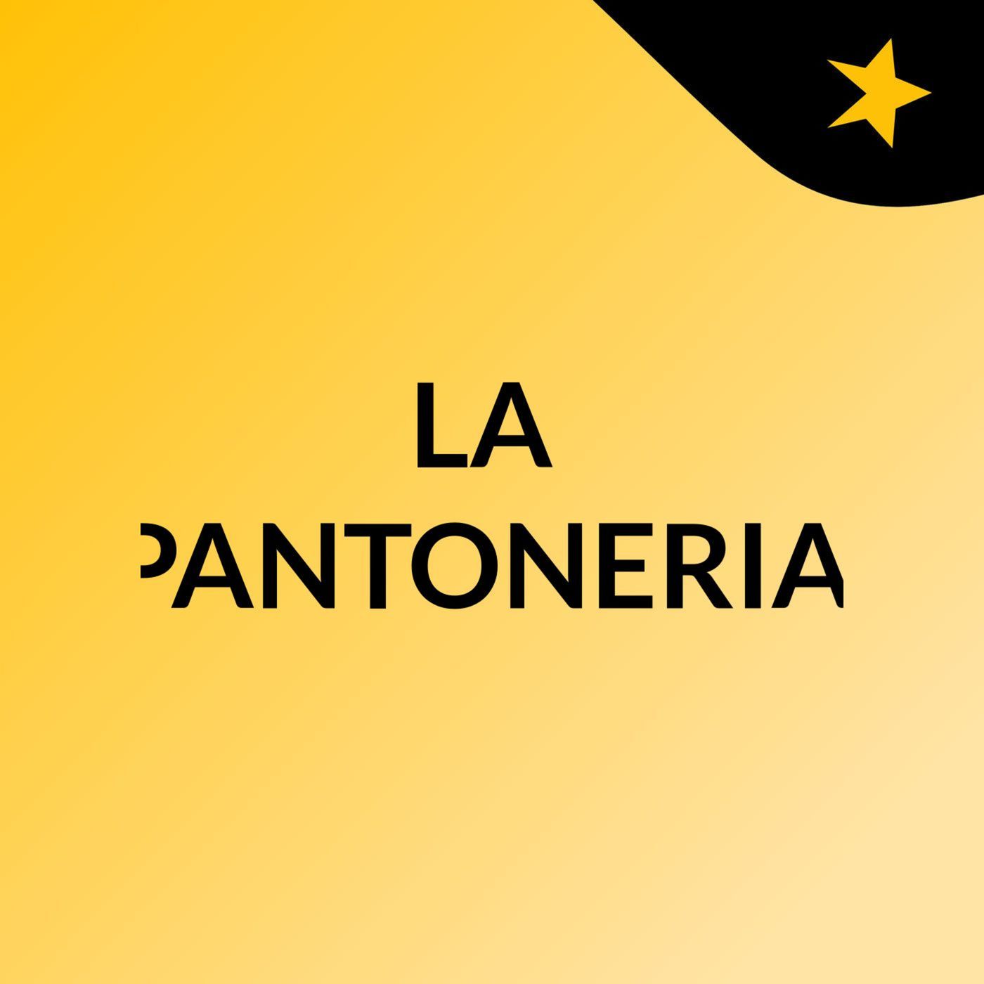 LA PANTONERIA