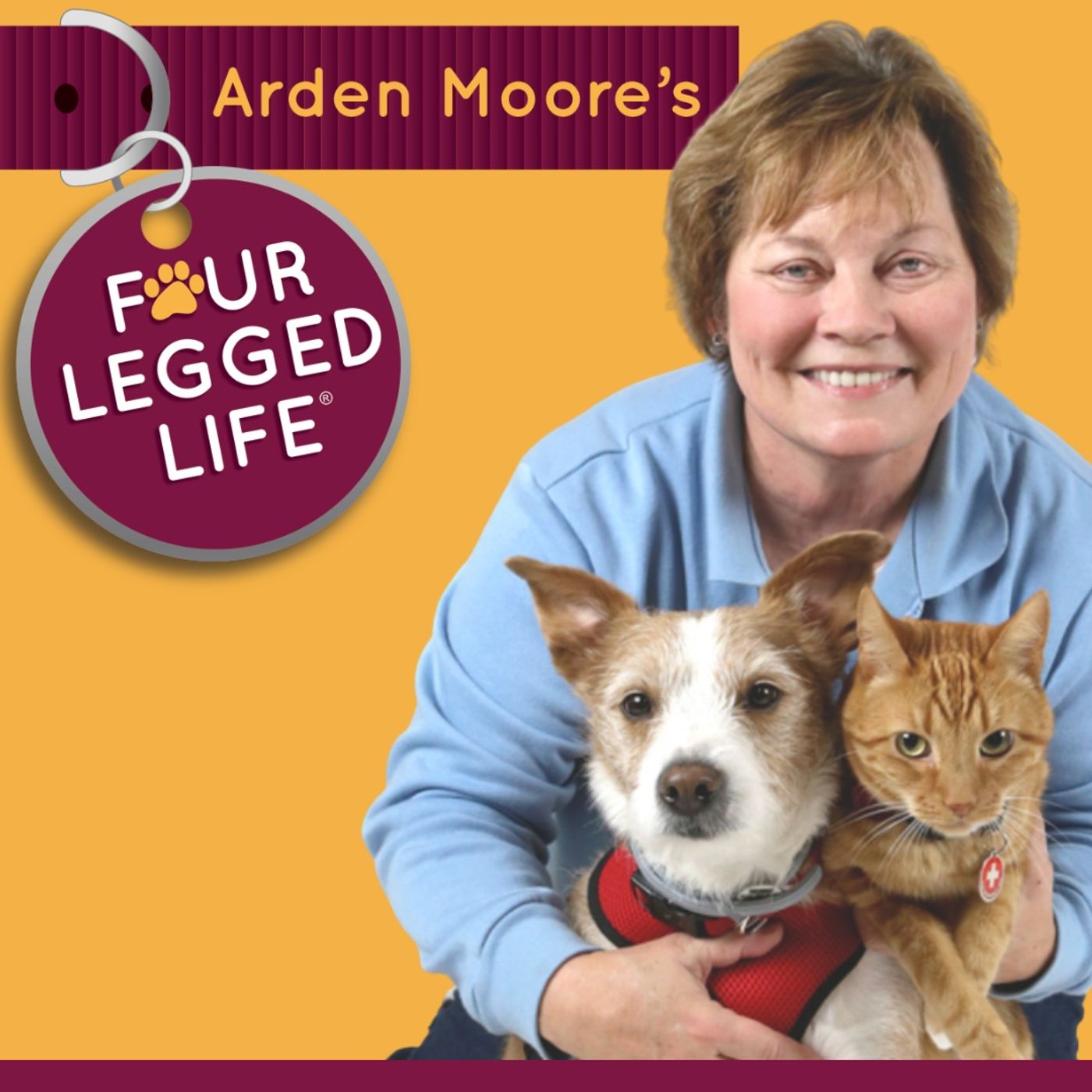 Arden Moore's Four Legged Life Artwork
