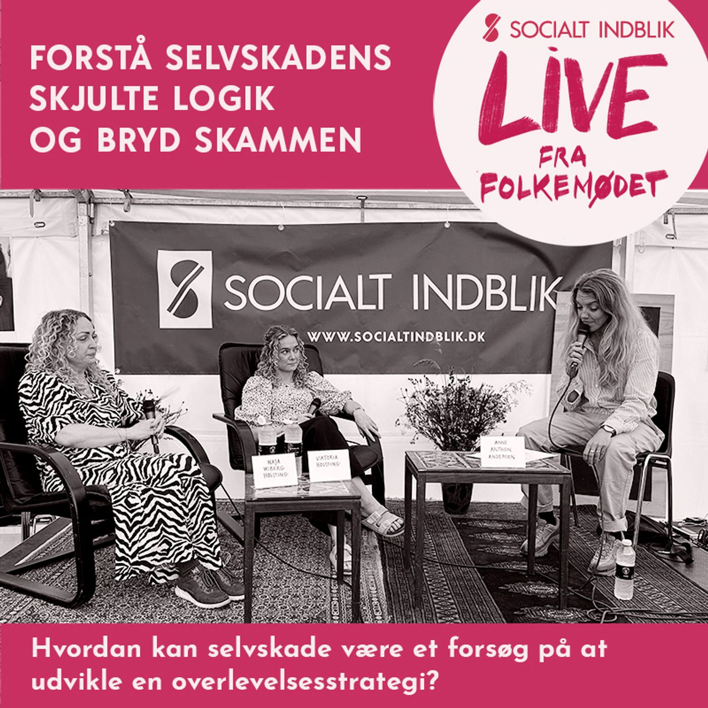 Socialt Indblik