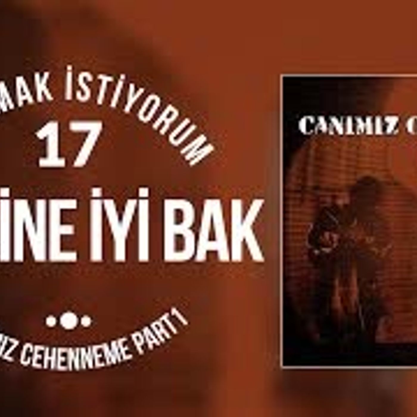 Spotide Olmayan No1 Şarkıları (@alierevn)