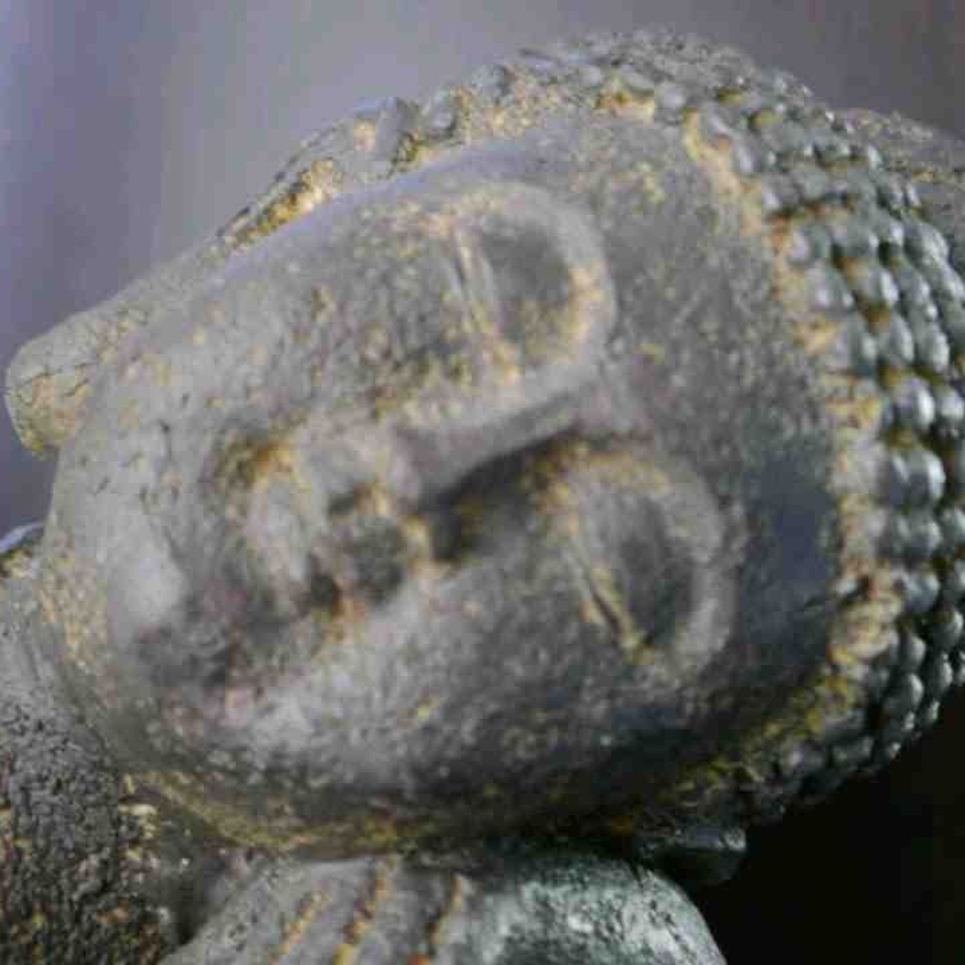 Mindfulness Meditation in 20 Minutes (Guided Meditation Technique_ Anxiety Depression Stress Relief)(MP3_160K) episode artwork
