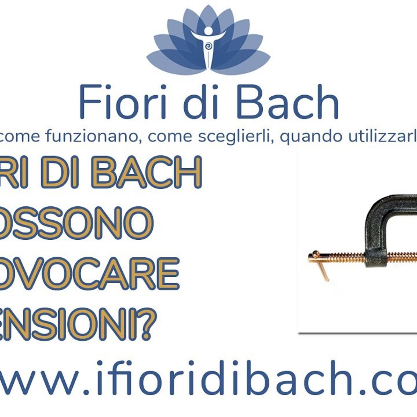I fiori di Bach possono provocare tensione? episode artwork