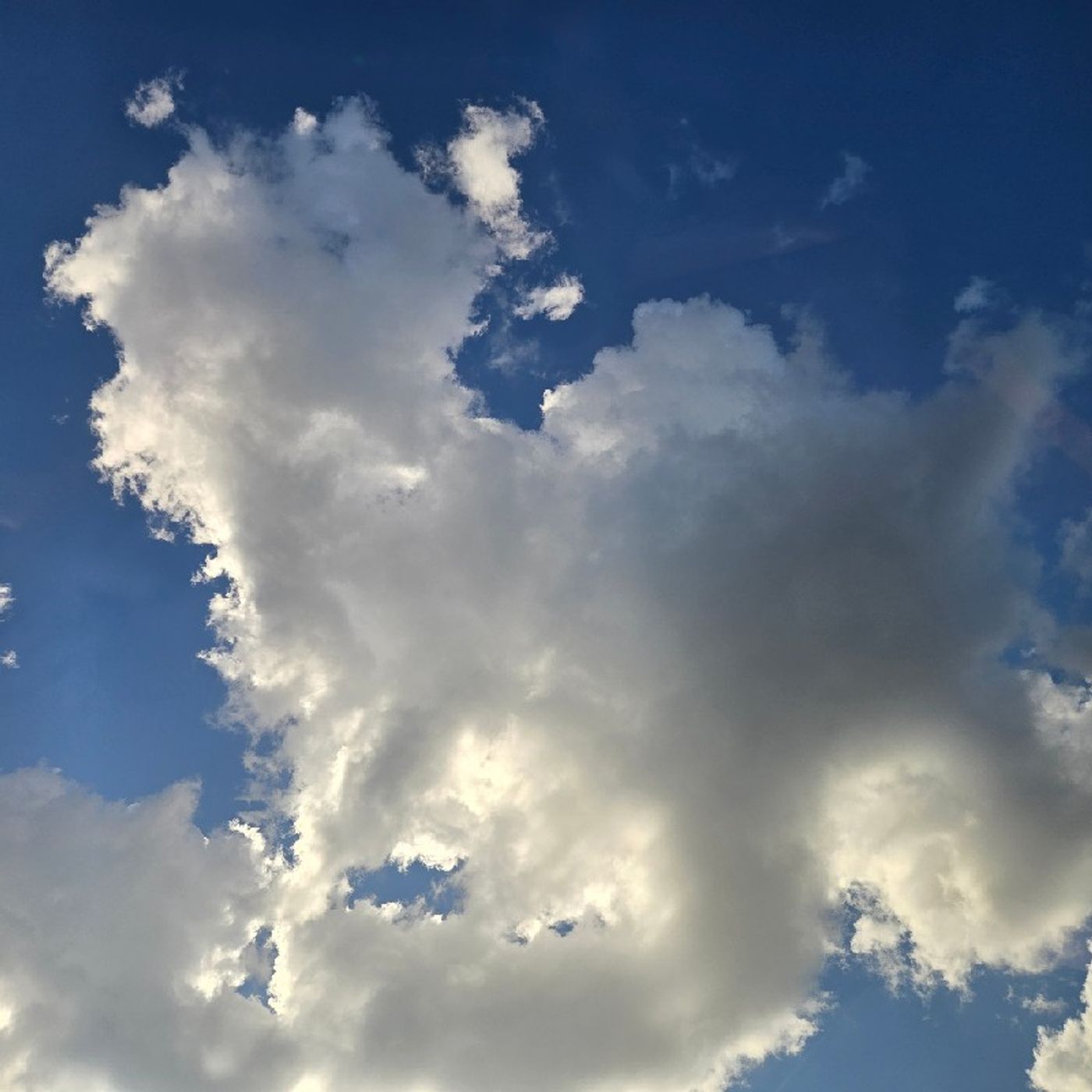 Episode 27 - Psalm 1 Episode 27 - Psalm 1