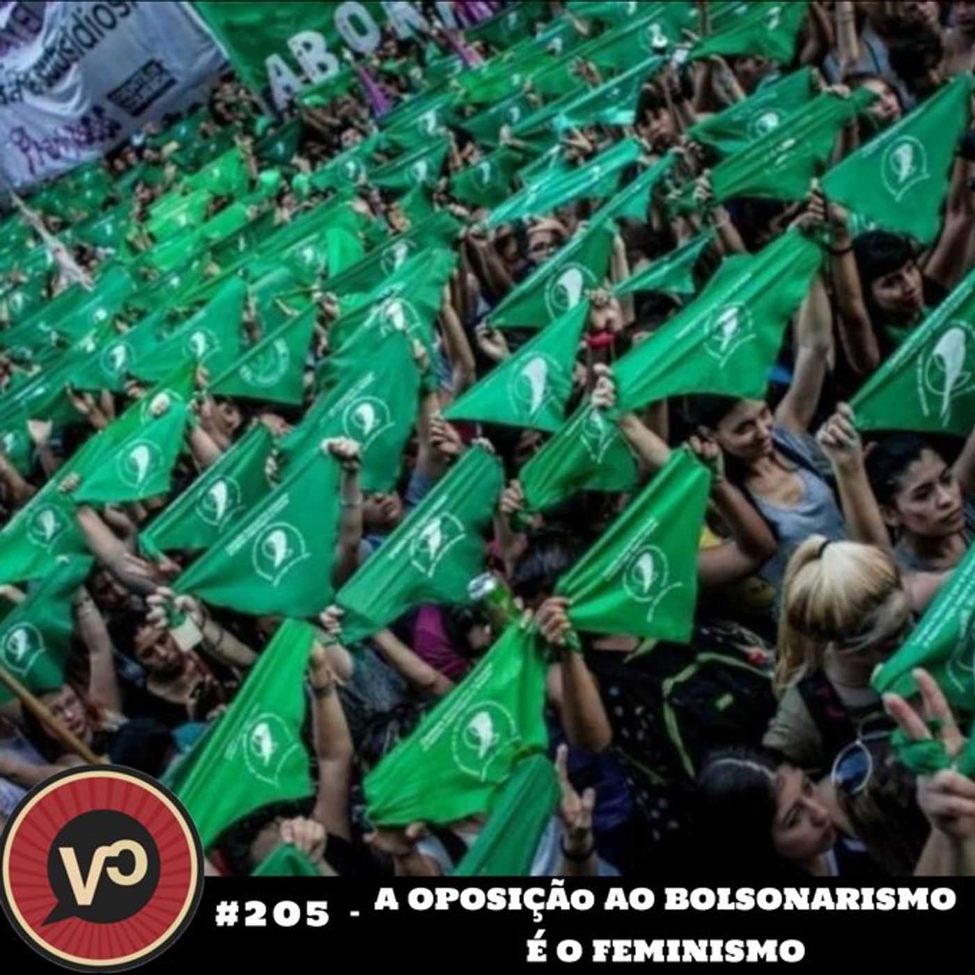 #205 "A oposição ao bolsonarismo é o feminismo" - com Luciana Boiteux