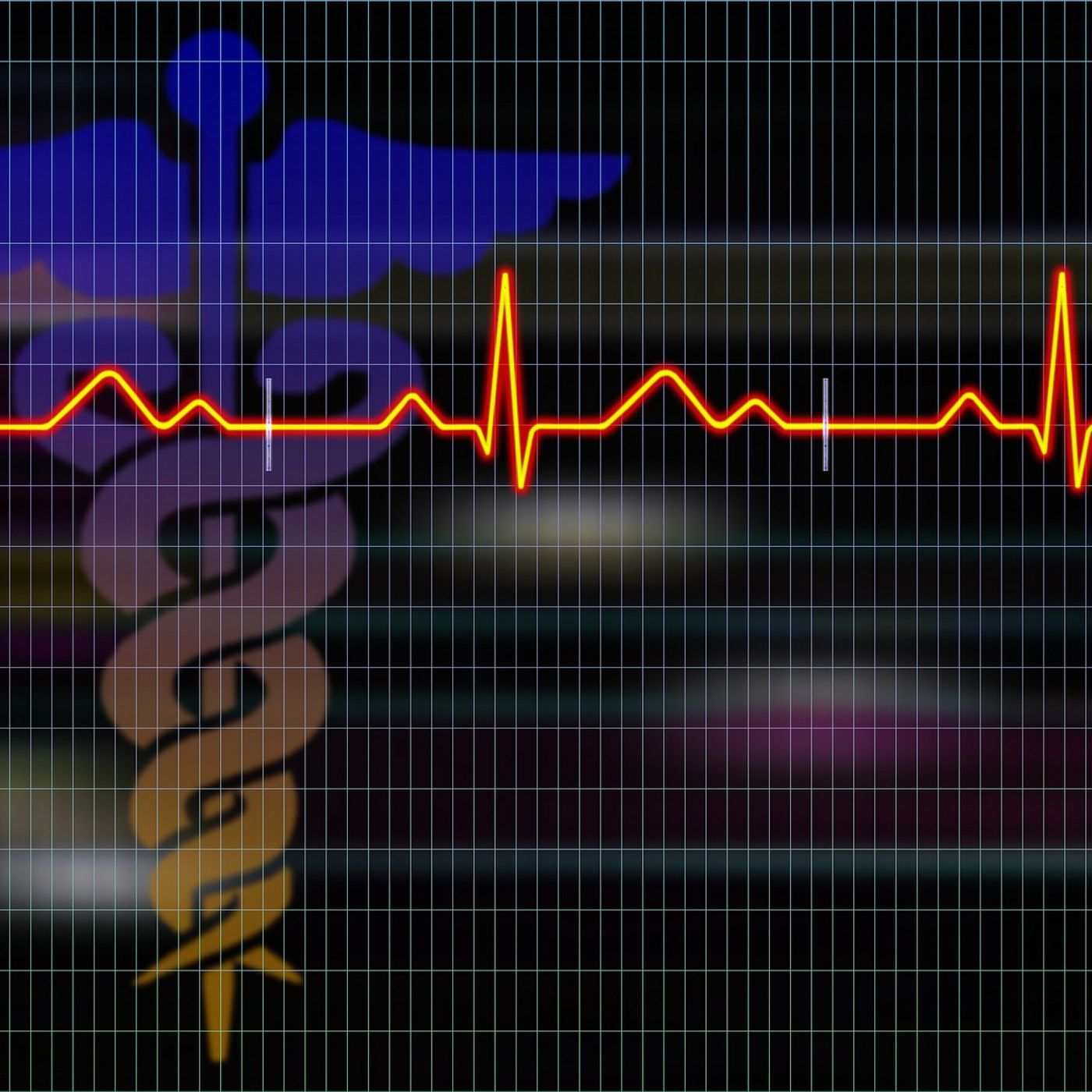 The Science Pulse
