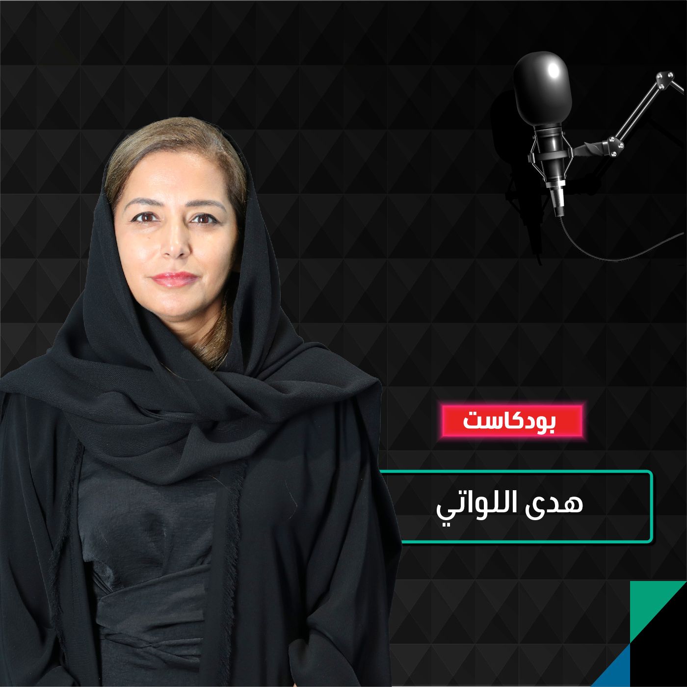الملكية الخاصة.. آلية لضخ رأس المال الذكي في الشركات ودفعها للنمو episode artwork