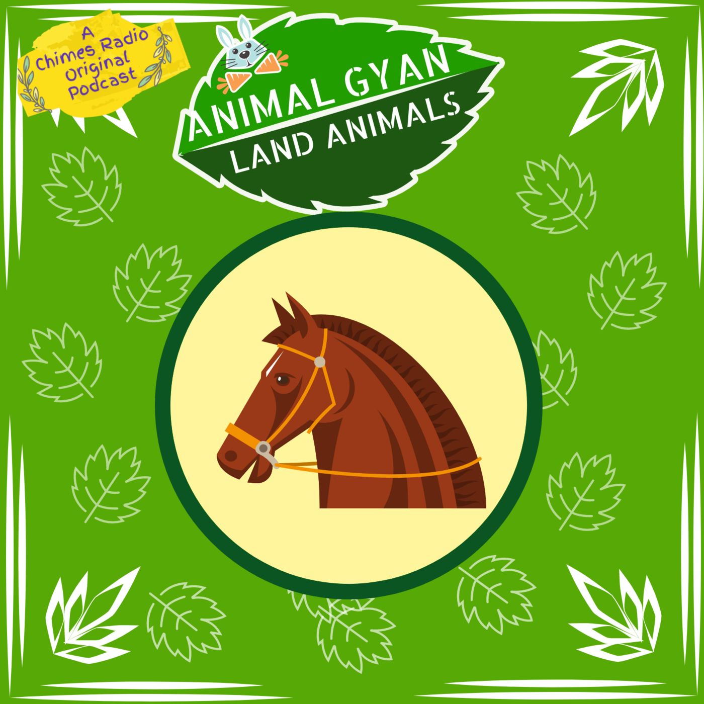 Horses