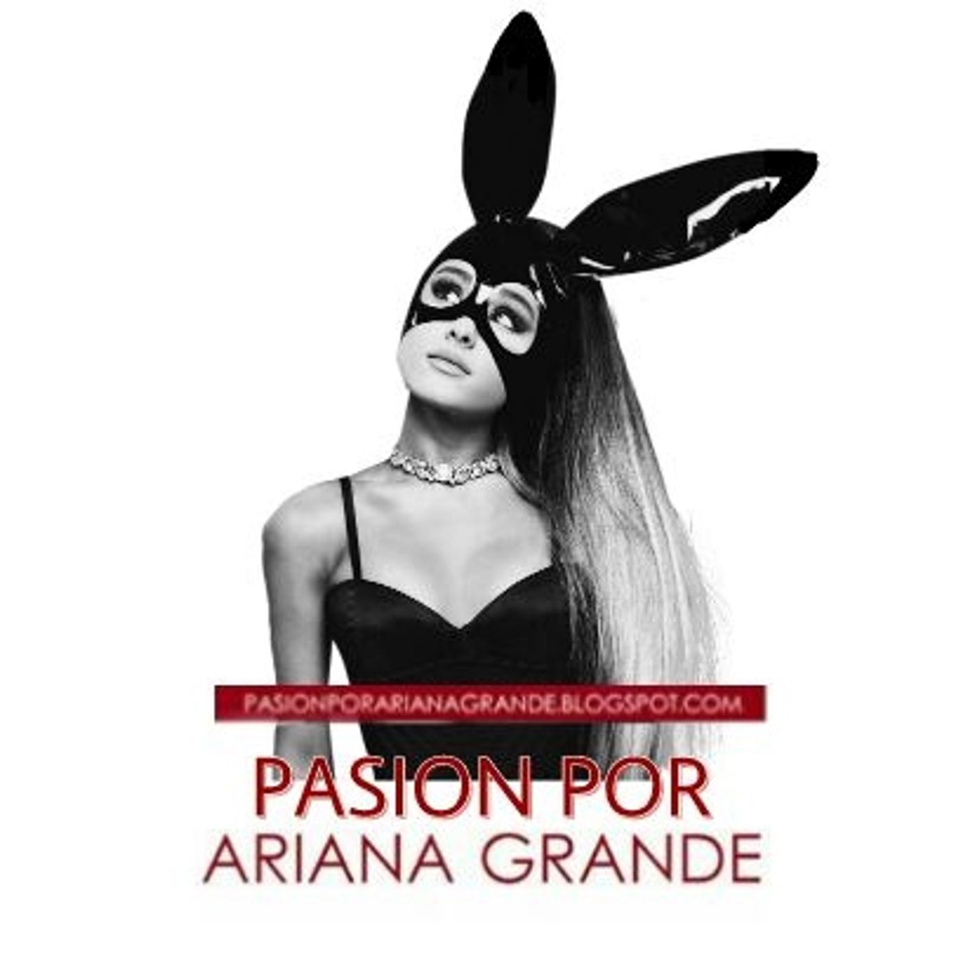 Pasión Por Ariana Grande