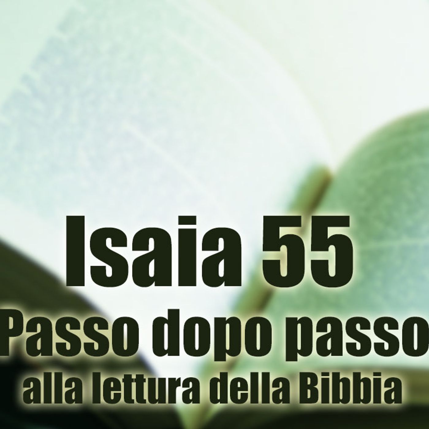 Passo dopo passo alla lettura della Bibbia