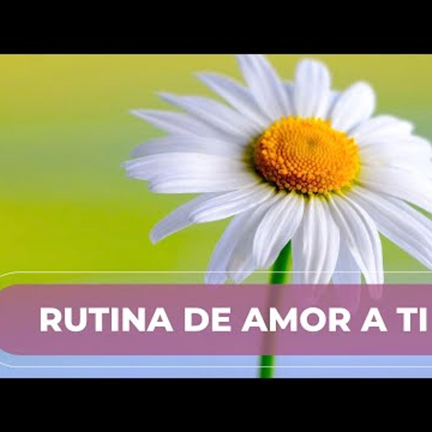 MEDITACIÓN DE LA MAÑANA Para Todos los Dias