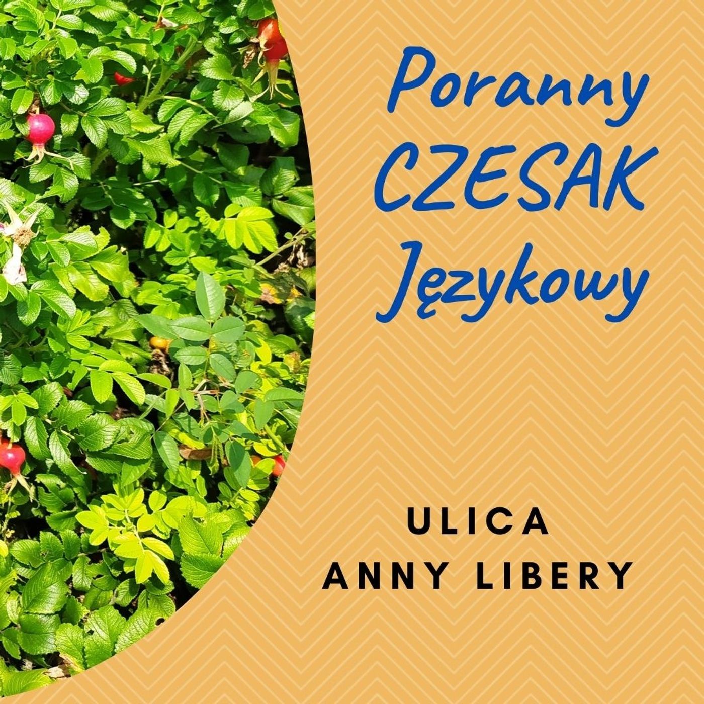Poranny Czesak Językowy