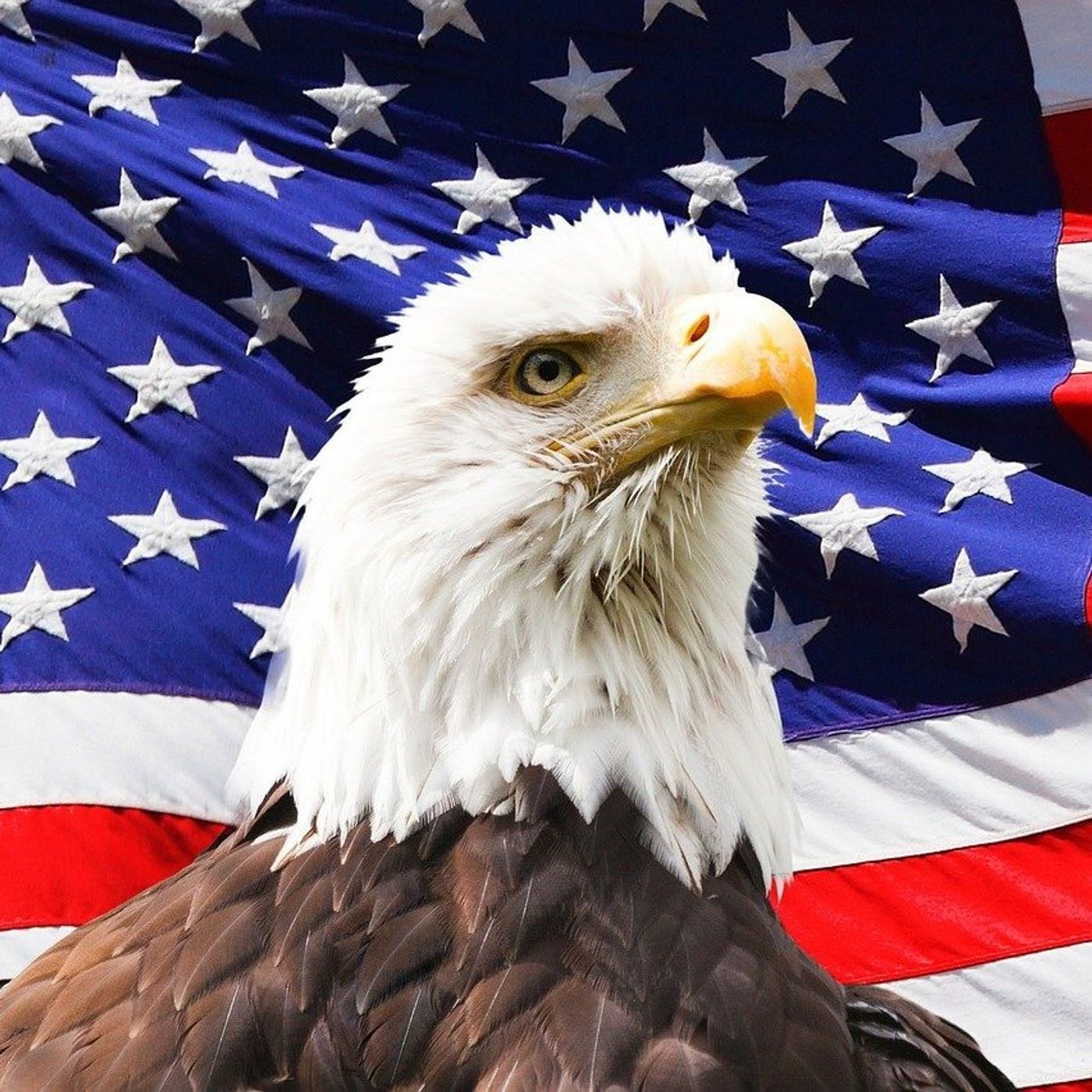 What is an American Patriot?