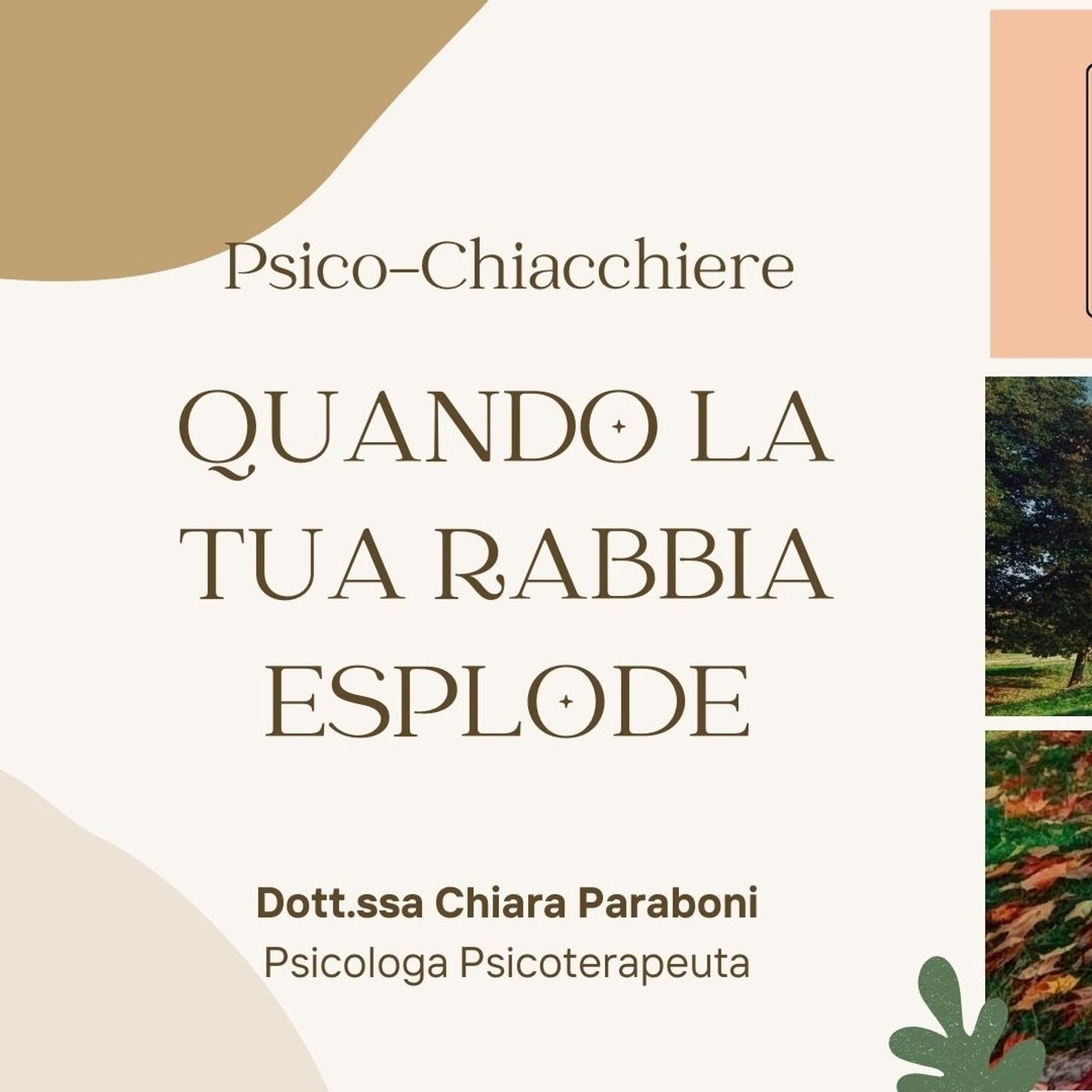 Stagione 2024-2025