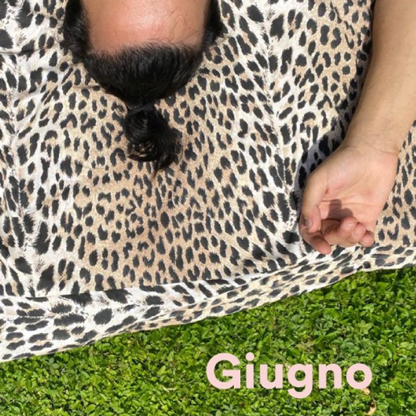 Giardiniera Giugno - Parte uno episode artwork