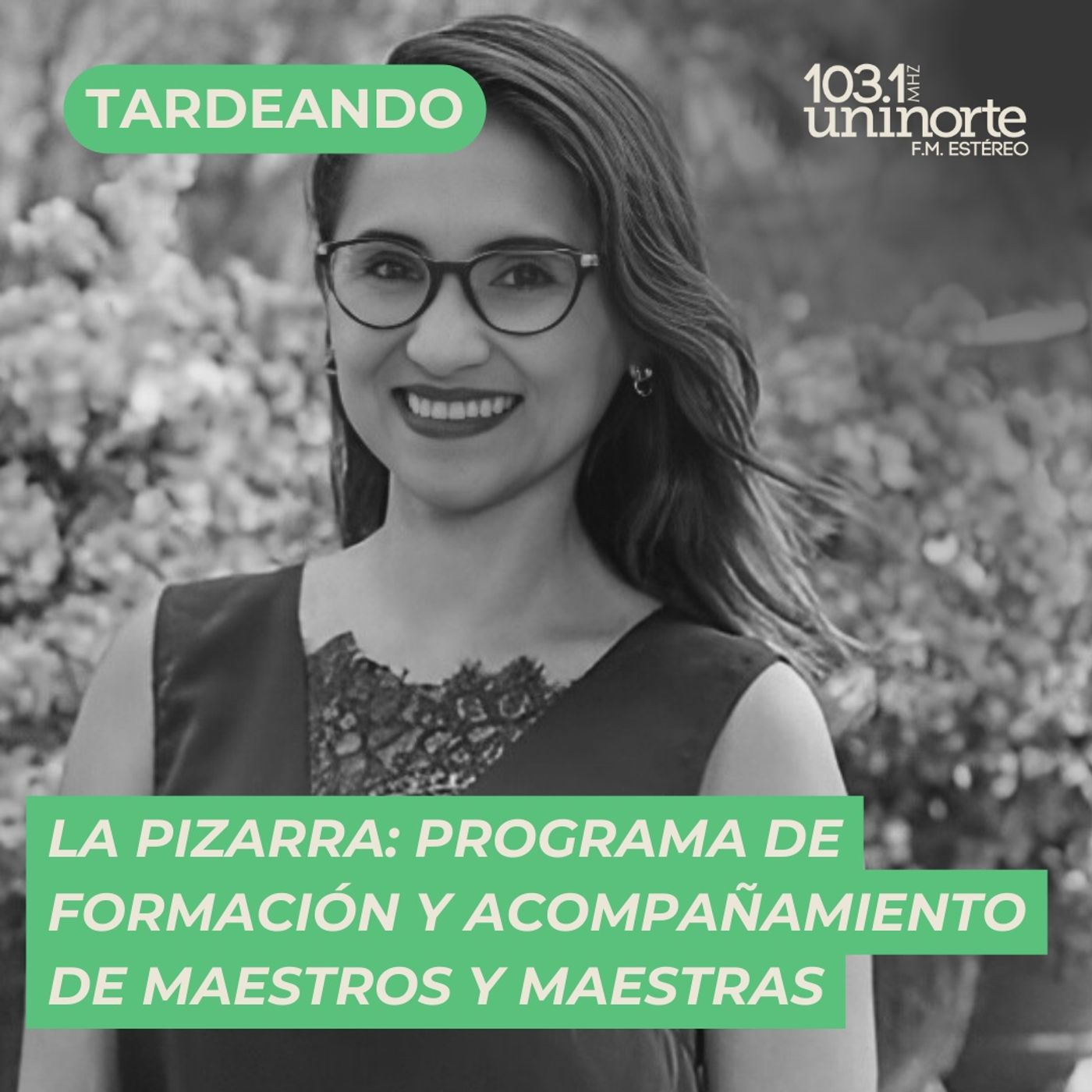 La Pizarra :: Programa de formación y acompañamiento de maestros episode artwork