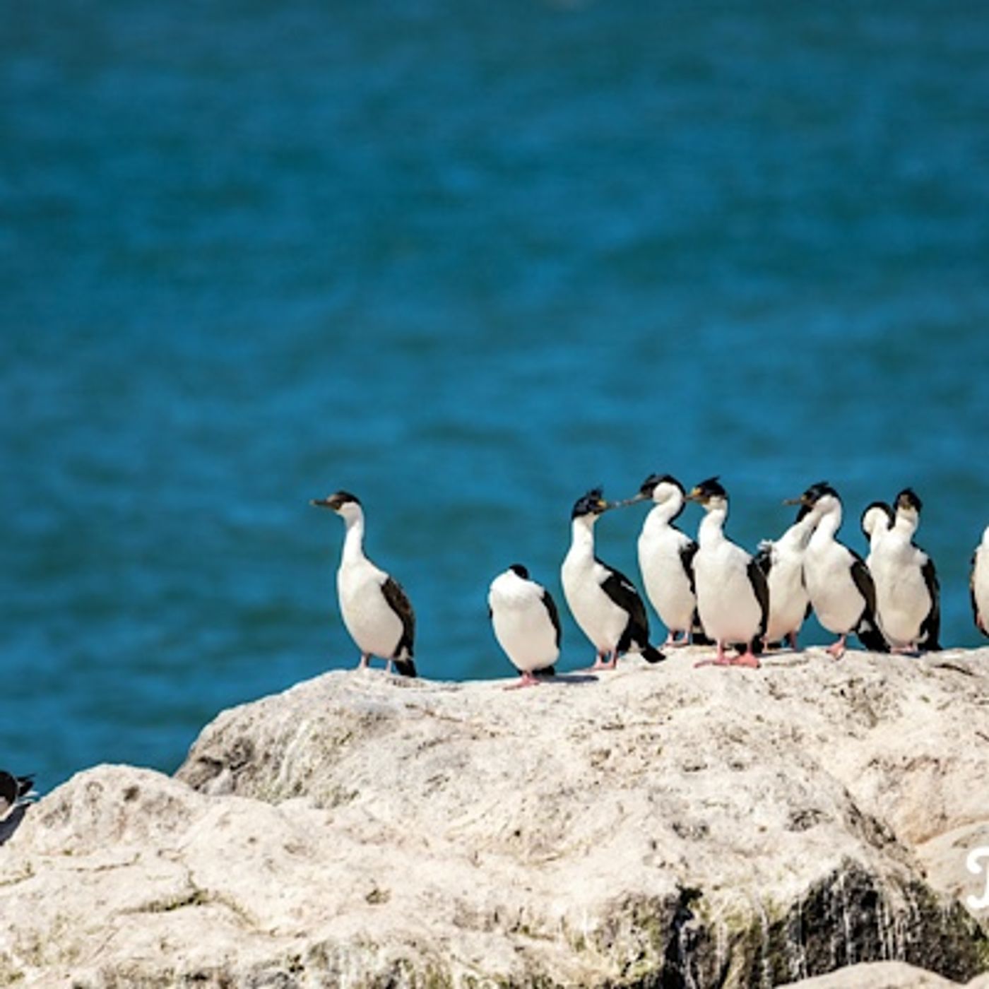 Episode 1542 - Jarvis Kingston I will give thanks to Yahuah according to his righteousness, and will sing praise to the name of The LORD YAH Episode 1542 - Jarvis Kingston I will give thanks to Yahuah according to his righteousness, and will sing praise to the name of The LORD YAH