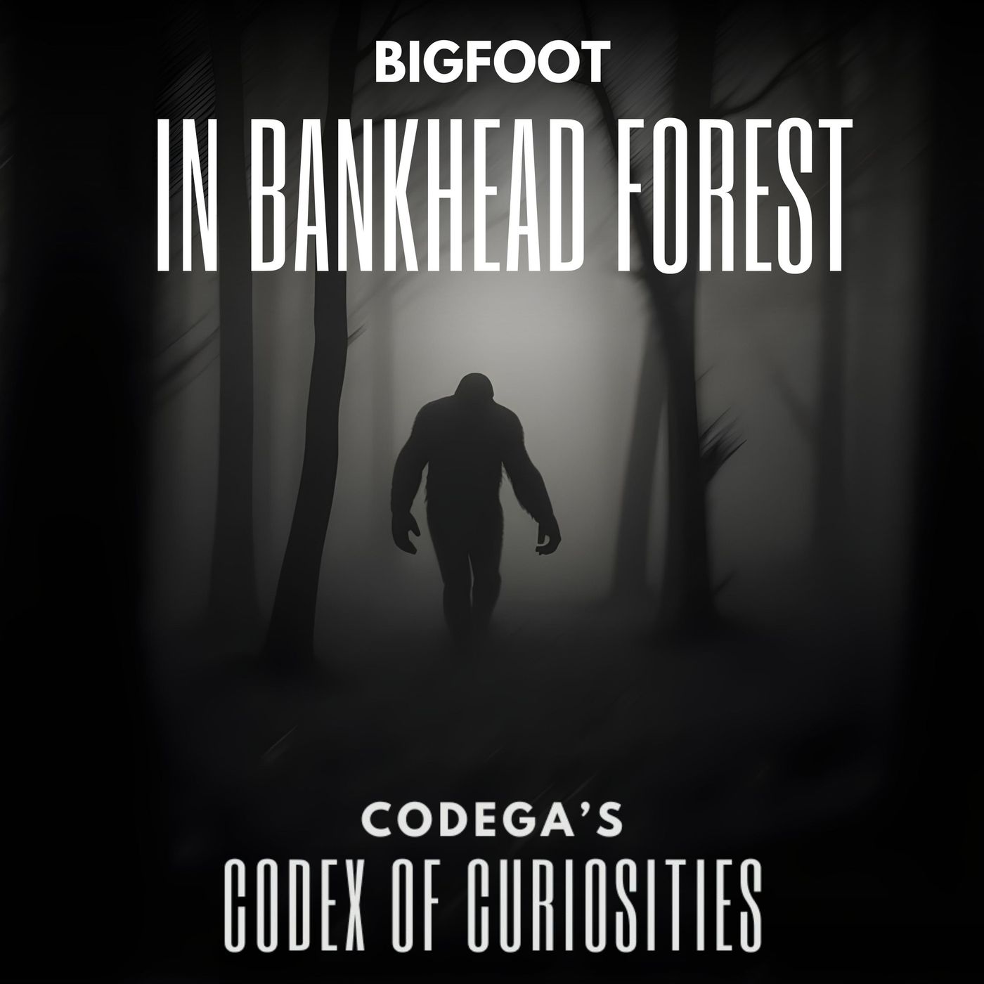 Codega\'s Codex of Curiosities