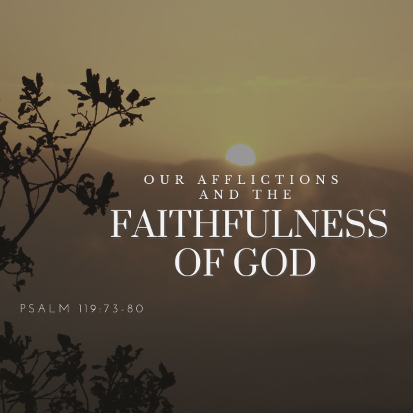 Our Afflictions and the Faithfulness of God (Psalm 119:73-80) episode artwork