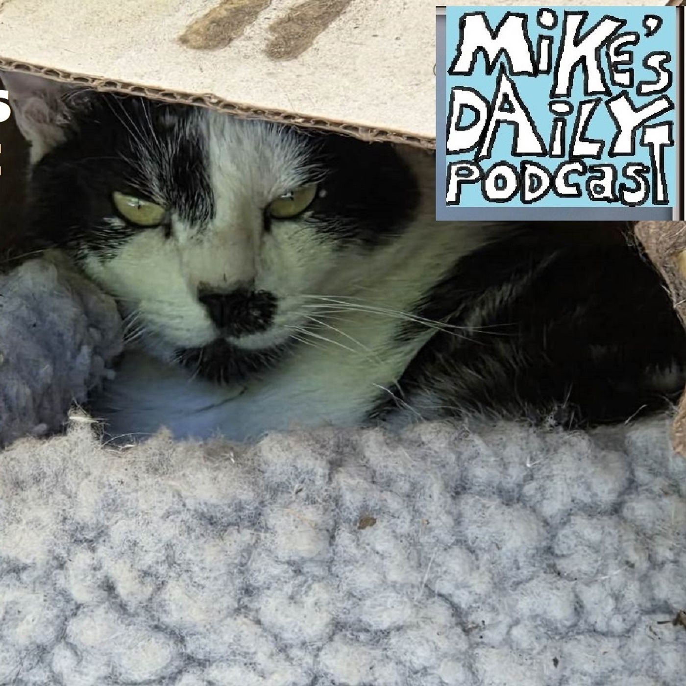 MikesDailyPodcast 3345 Subscribing episode artwork