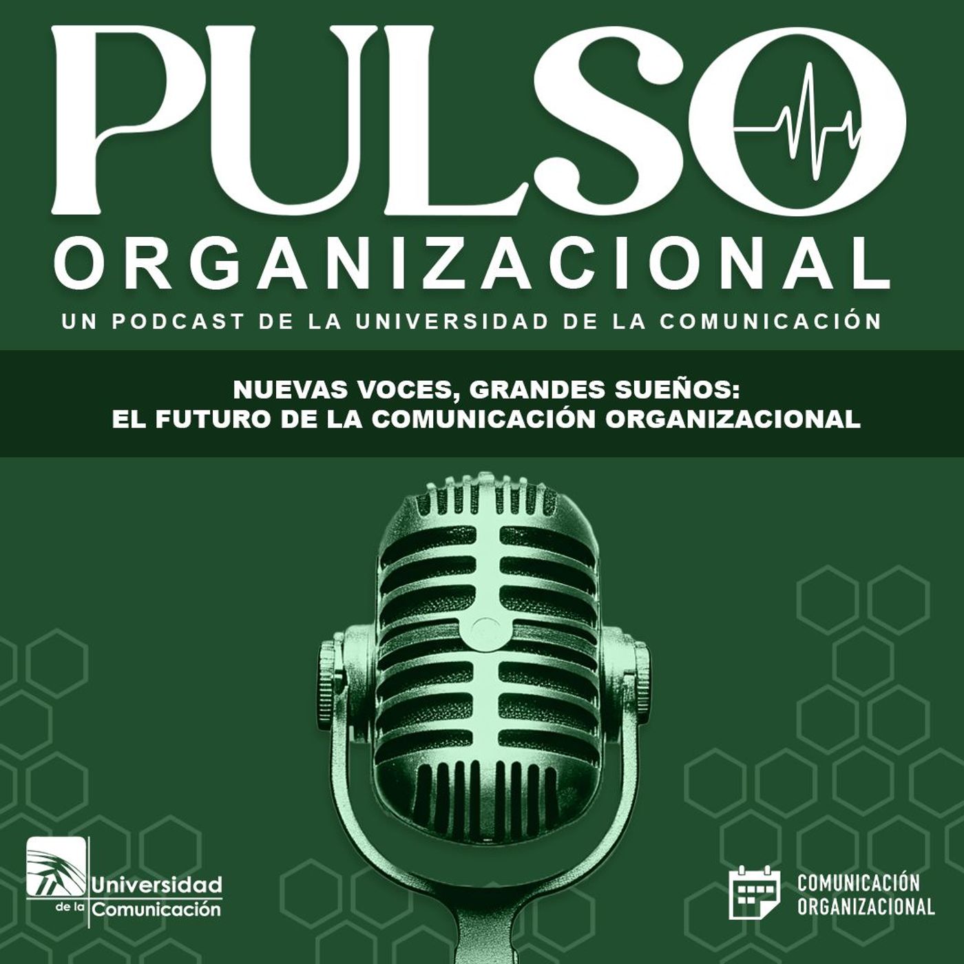 Pulso Organizacional