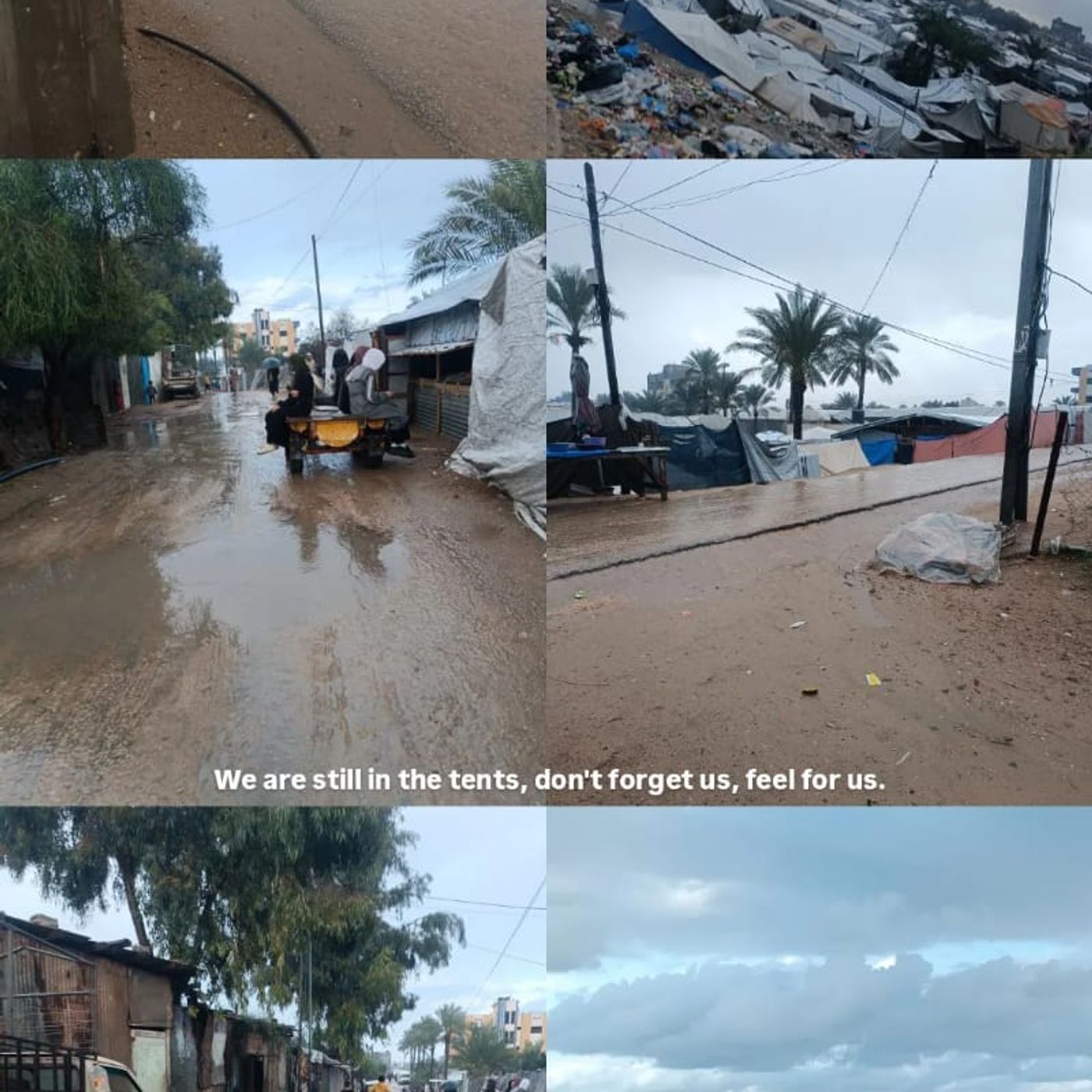 26 novembre 2025 - Notiziario Mondo