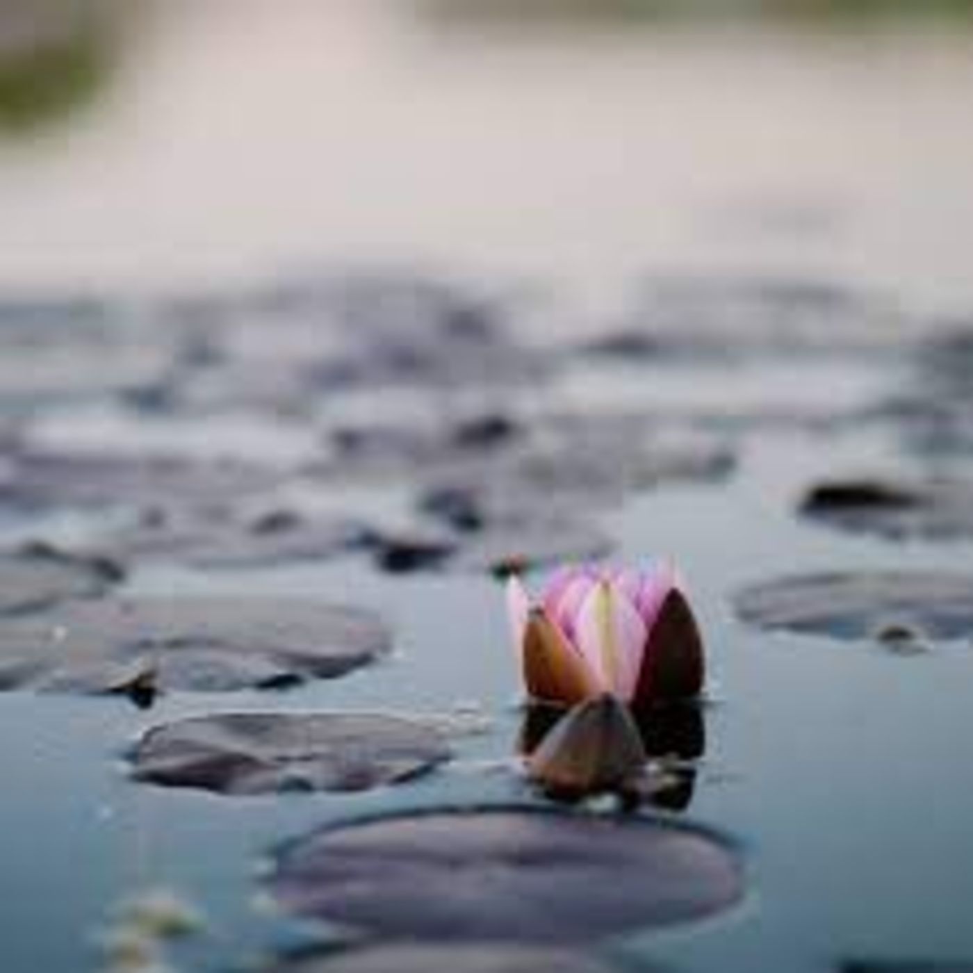 Meditaciones
