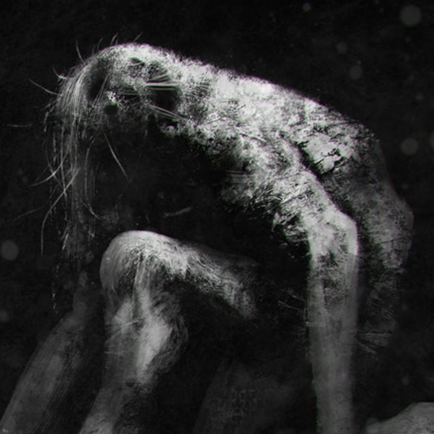 Historias De Nahuales  (Recopilación #3) 7 Historias De Terror - REDE