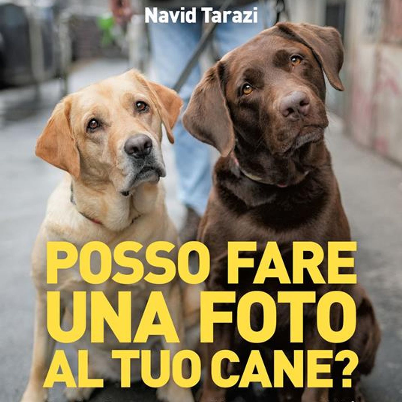 Doggodaiily - Navid Tarazi "Posso fare una foto al tuo cane?" Doggodaiily - Navid Tarazi "Posso fare una foto al tuo cane?"