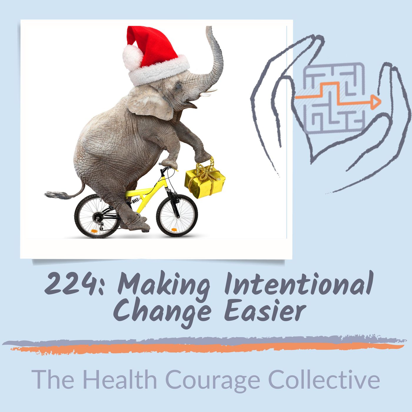 224: Making Intentional Change Easier 224: Making Intentional Change Easier