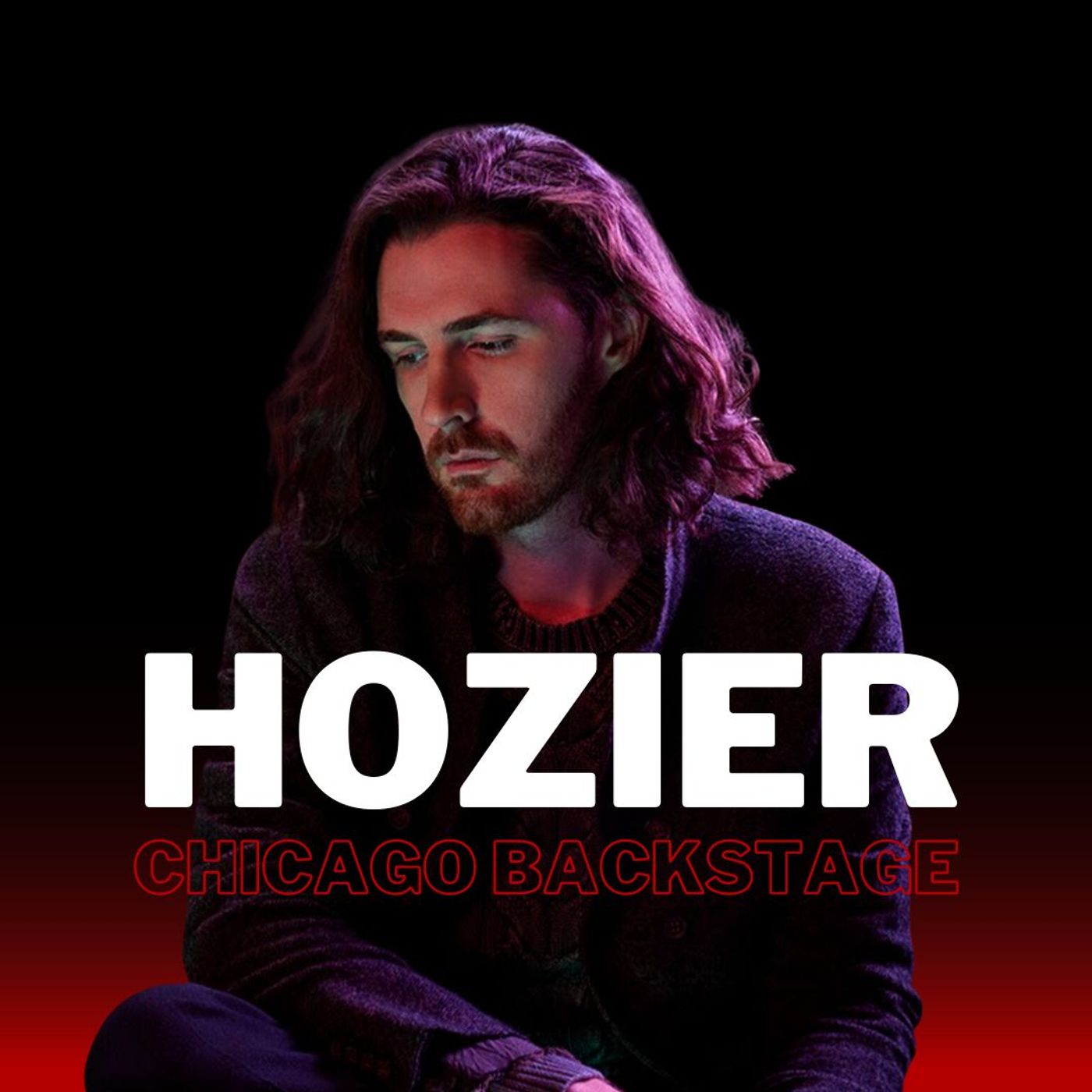 Hozier episode artwork