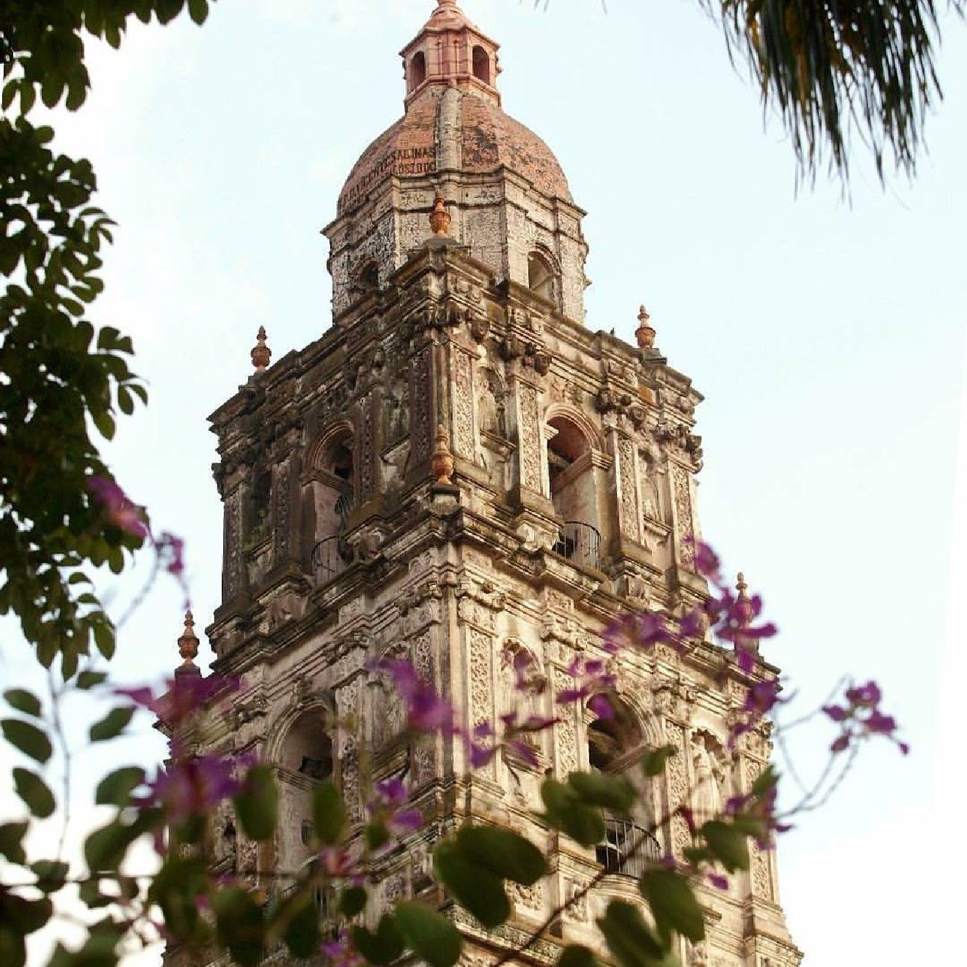 Proyecto De Comunicación