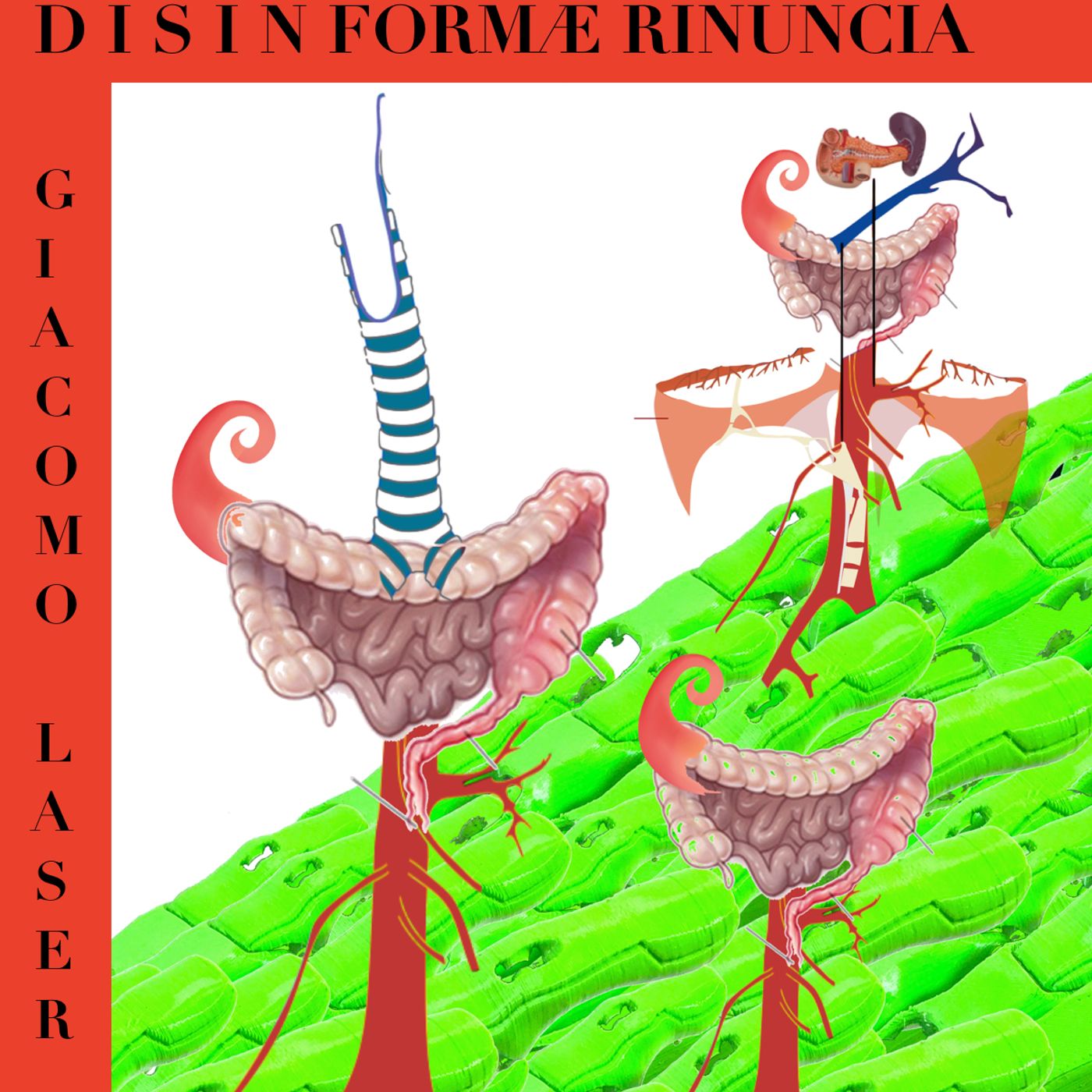 DISINFORMA E RINUNCIA