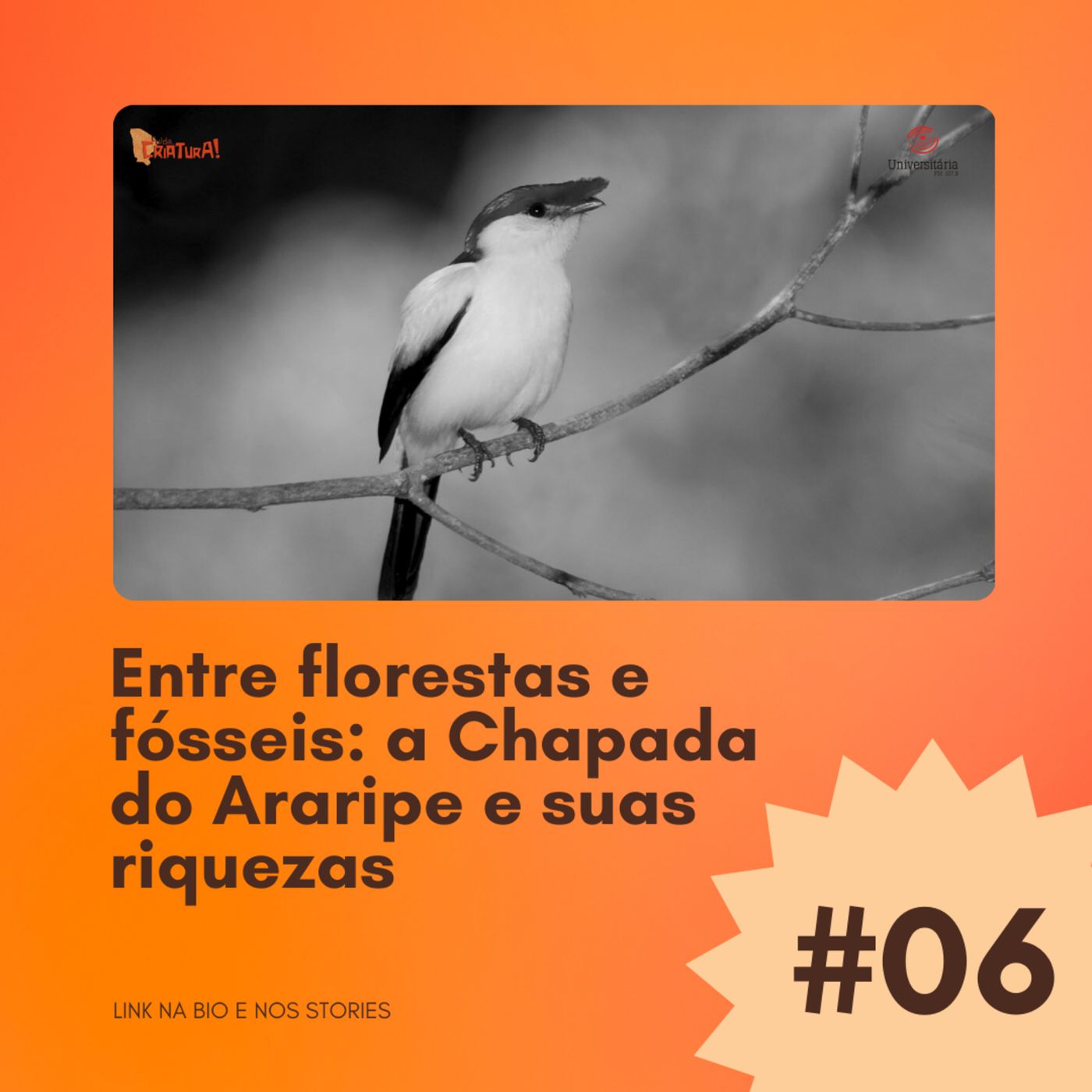 Cuida, Criatura!