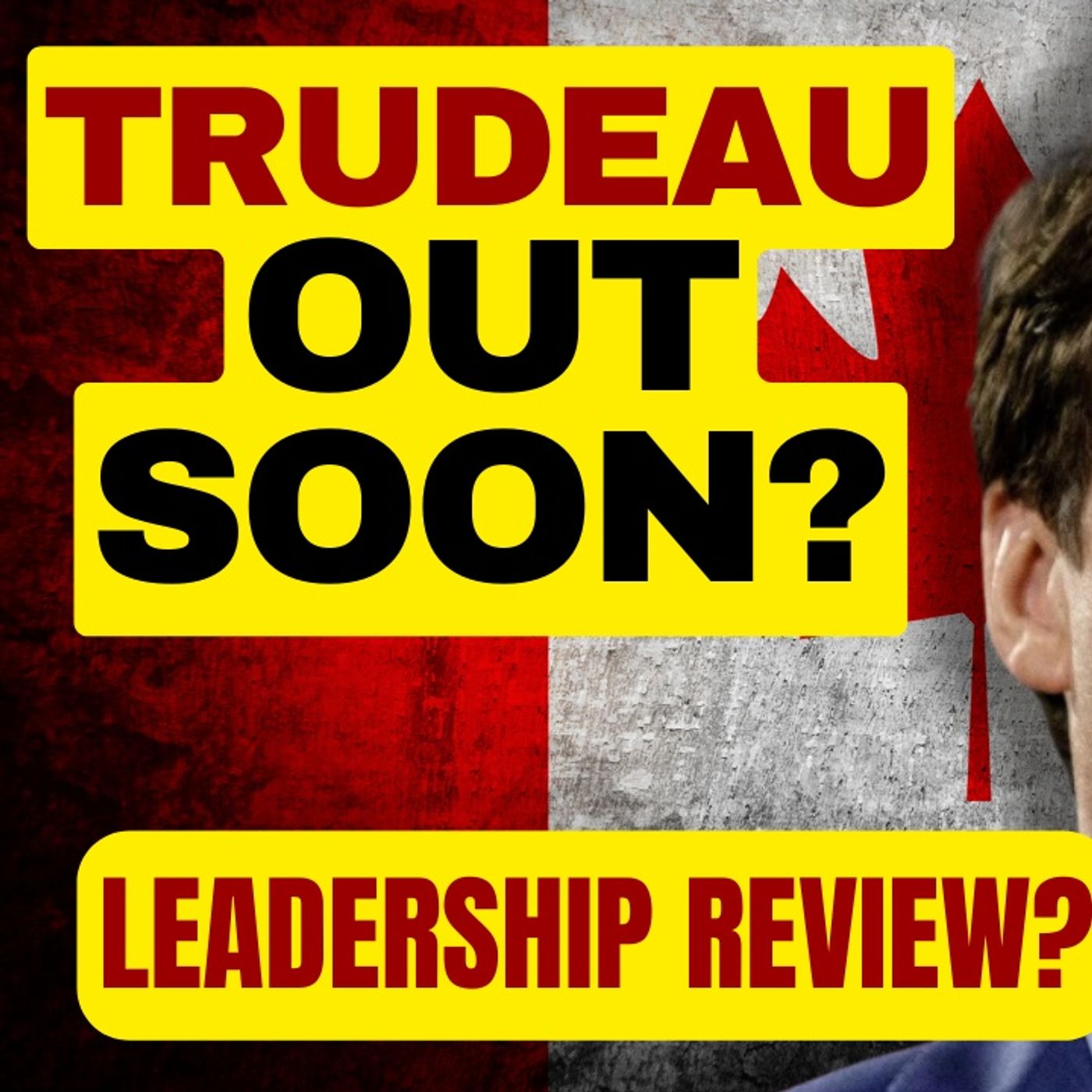 Trudeau Out?  Liberal MP Calls For Leadership Review episode artwork