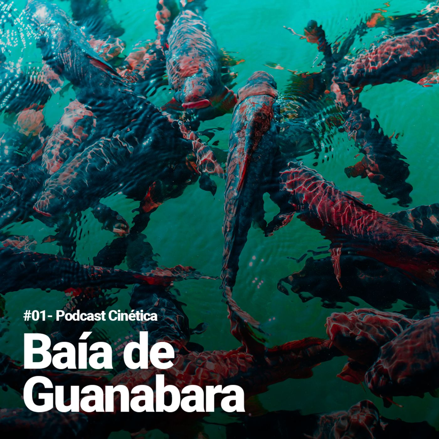 #001 - Baía de Guanabara