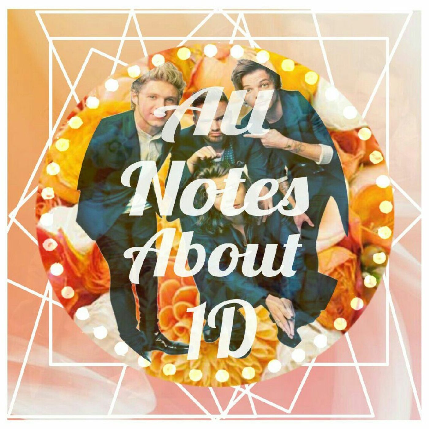 AllNotesAbout1D's show
