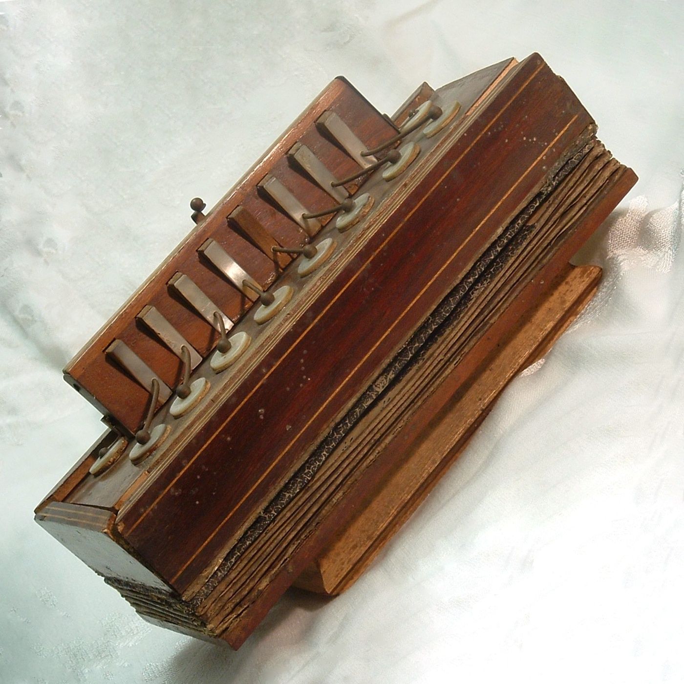 Harmonikanørderne