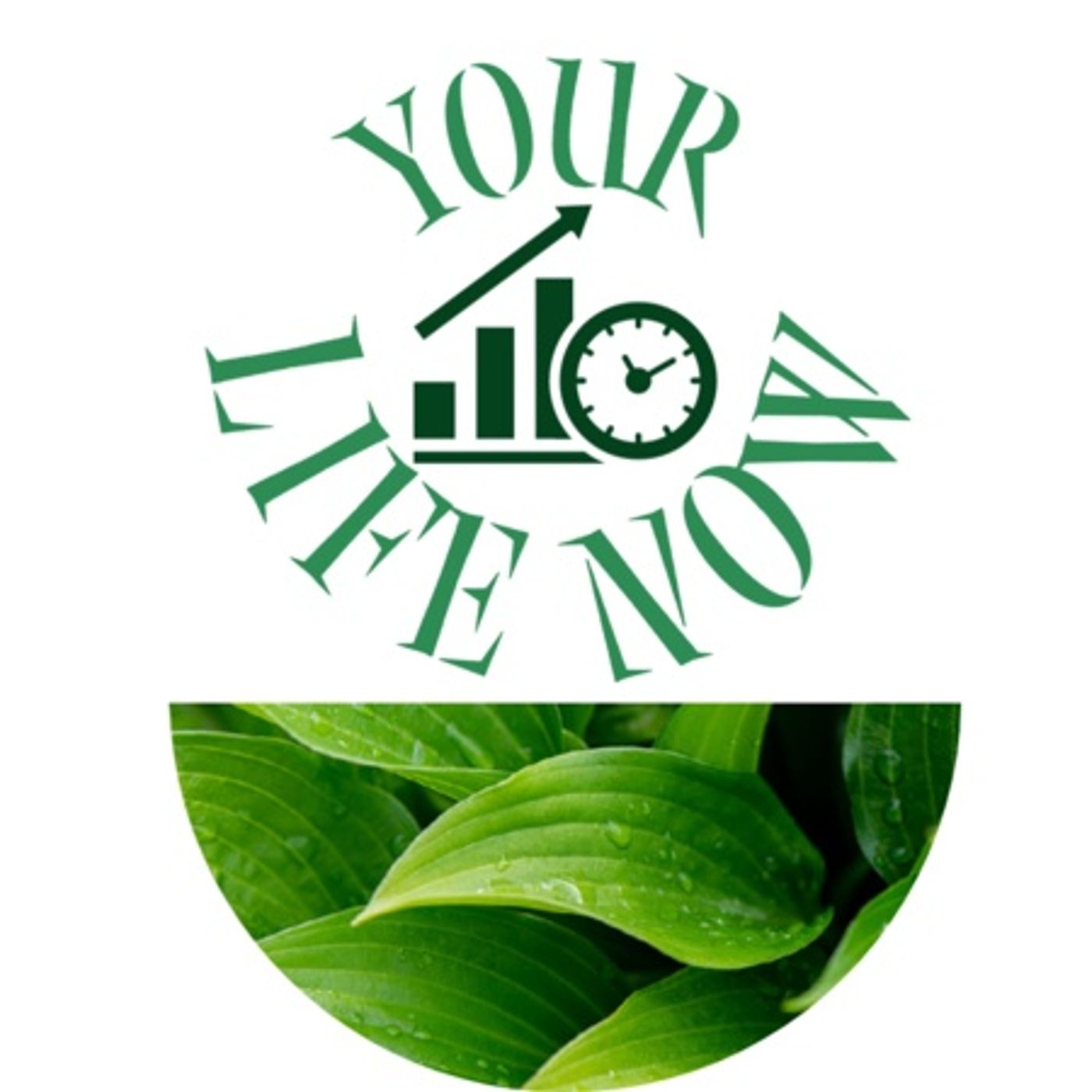 YOUR LIFE NOW show with Coach Rea Wilke