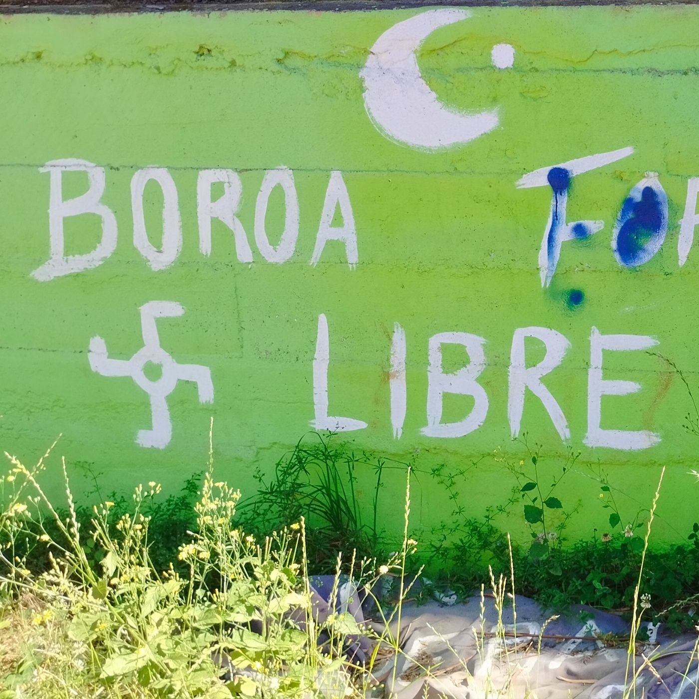 Storia del popolo Mapuche